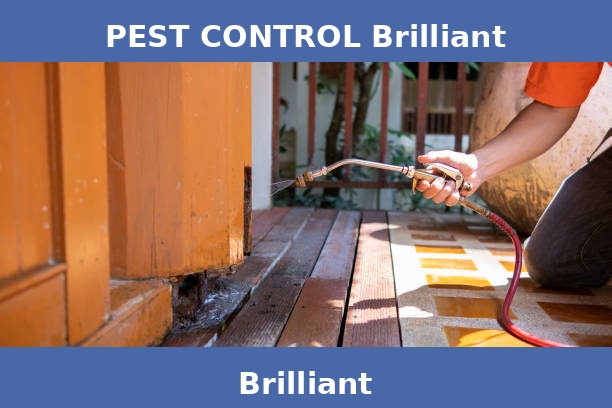 PEST CONTROL Brilliant